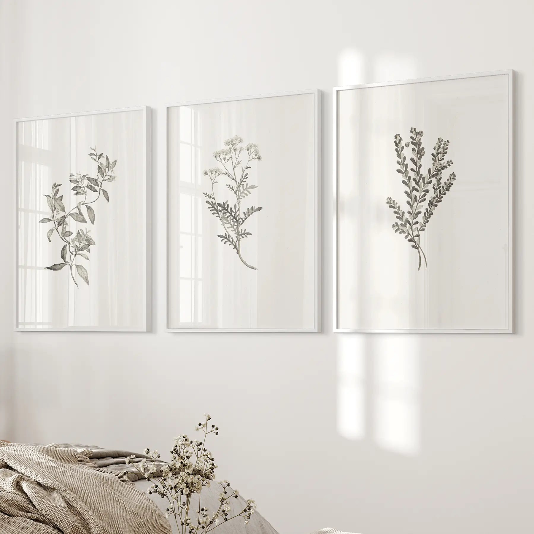 Vintage Home Decor. Botanical Wall Art Set by Sydney Parkinson